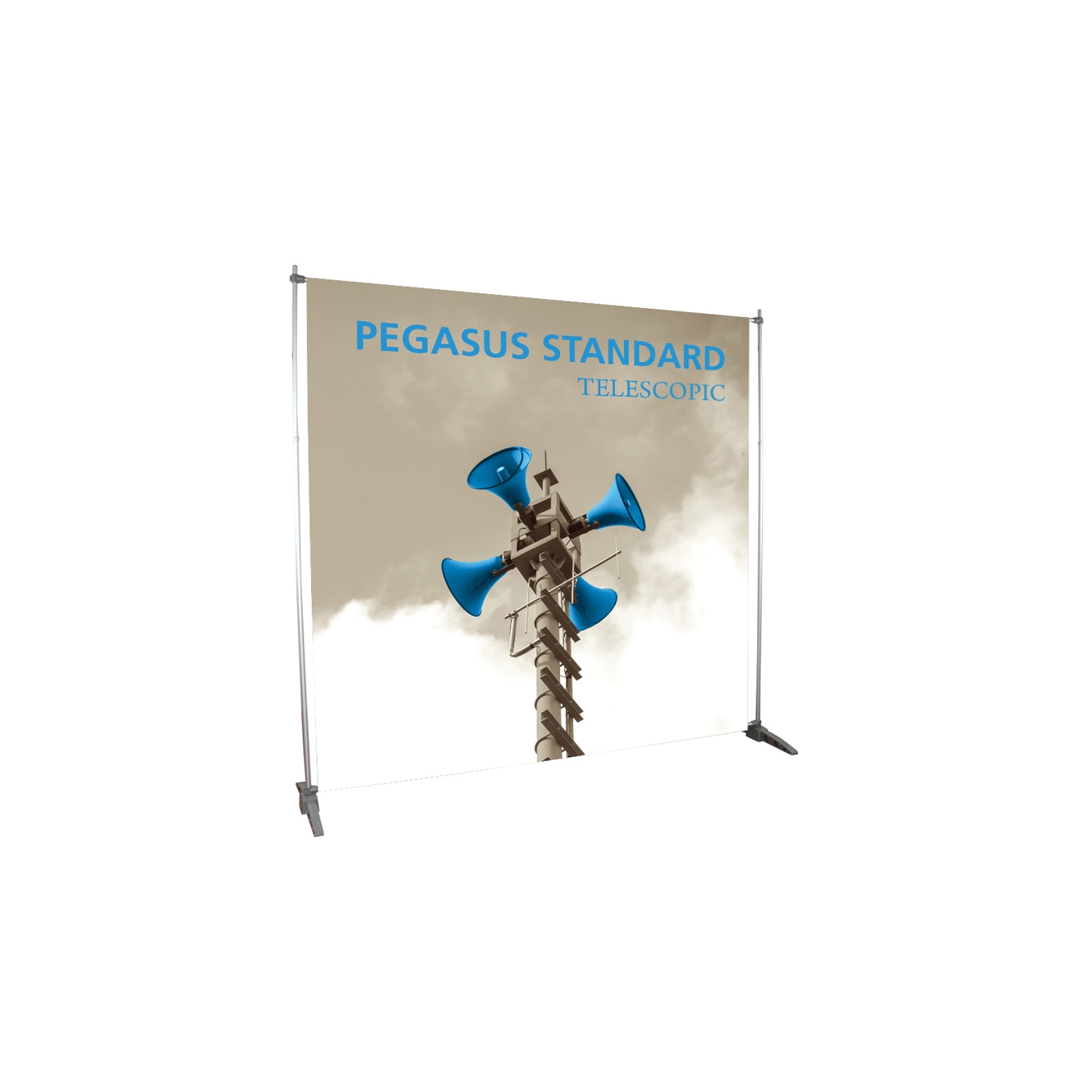 Pegasus Standard